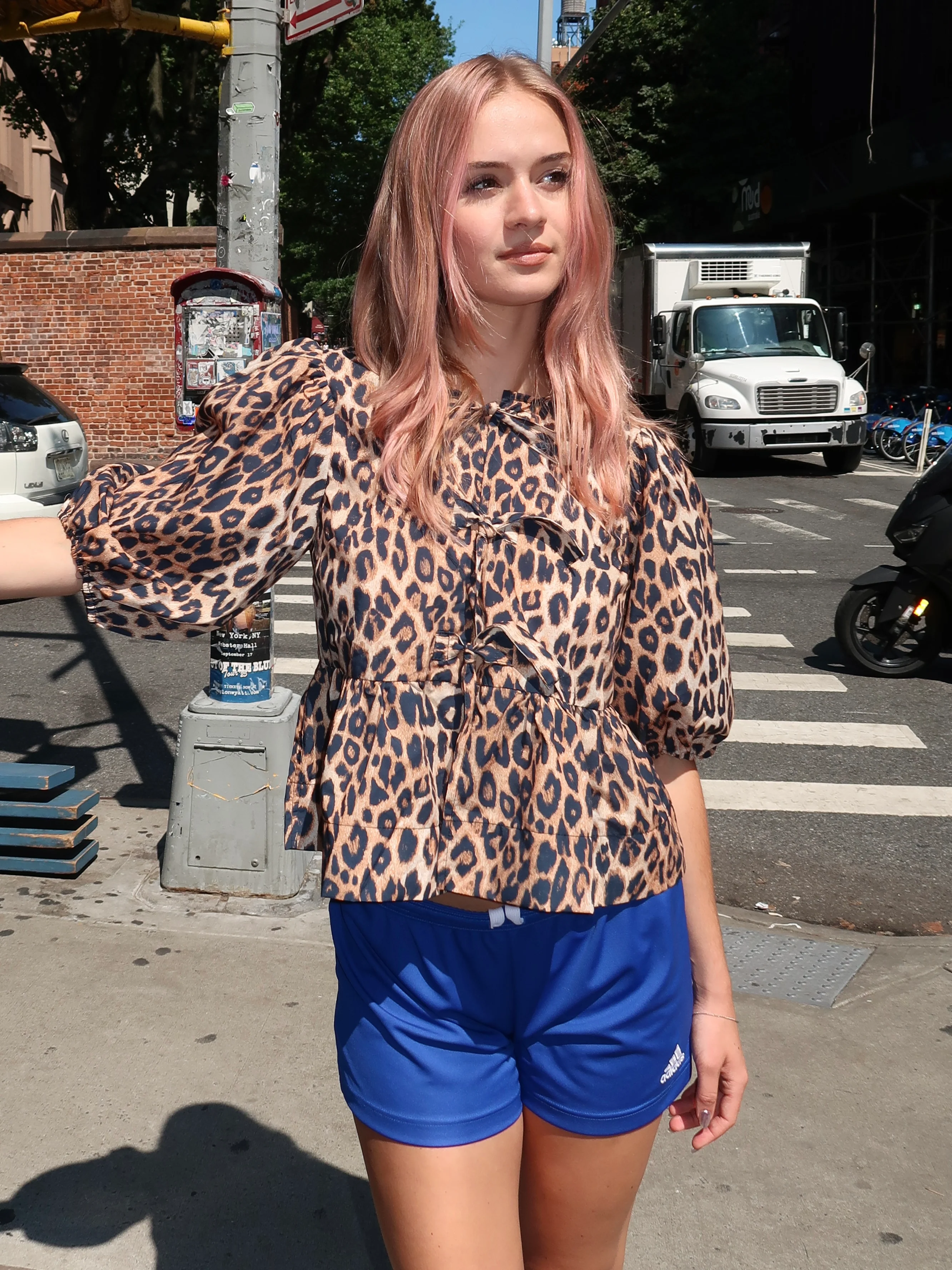 Yasmine Top in Leopard - Image 2